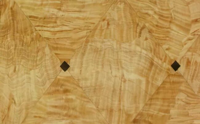 Sycamore Harlequin