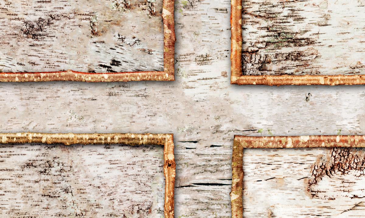 Birch Bark Panels(Detail) (1) BIRCH BARK PANELS