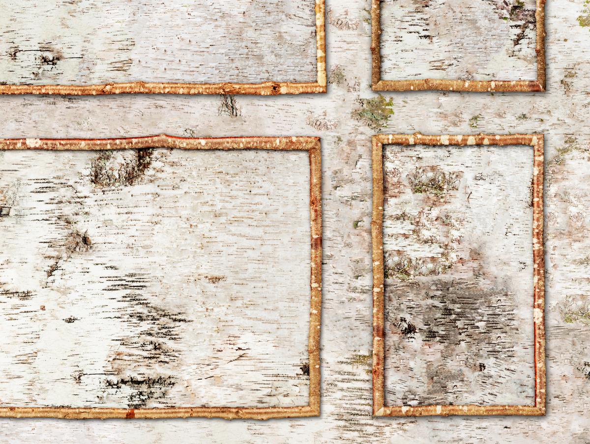 Birch Bark Panels(Detail2) (1) BIRCH BARK PANELS